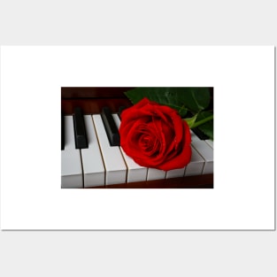 Wonderful Red Rose On Piano Keys Posters and Art